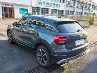 2019 Audi Q2L e-tron Pure Electric Smart Cool Edition, фото 4, лот 10473131