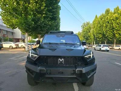 2023 Mengshi 917 Extended Range Base Version, фото 2, лот 11643996