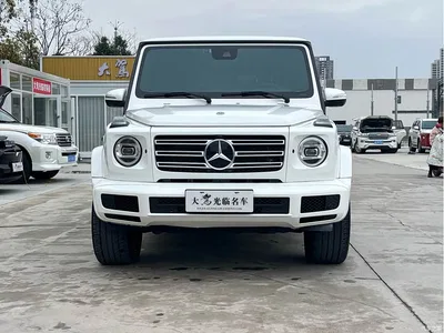 2019 Mercedes-Benz G-Class Facelift G 500, фото 2, лот 10241359