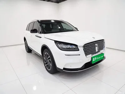 2022 Lincoln Adventurer 2.0T 2WD Deluxe Edition, фото 3, лот 10348958