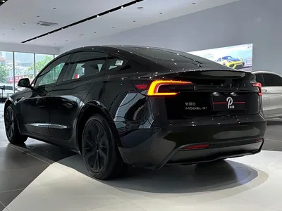 2025 Tesla Model 3 Long Range All-Wheel Drive, фото 3, лот 10395485