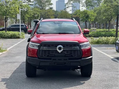 2020 Great Wall Pao 2.0T Off-Road Auto Gasoline 4WD Premium Edition GW4C20B, фото 2, лот 11243597