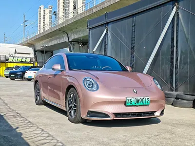 2022 Ora Lightning Cat 555km Premium Edition, фото 3, лот 10332237