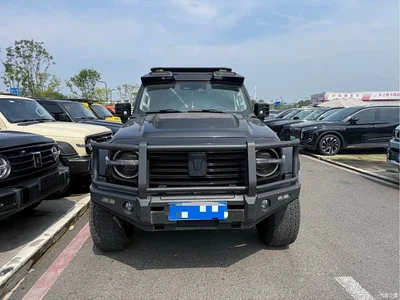 2021 Tank 300 Off-road Version 2.0T Conqueror, фото 2, лот 10345060