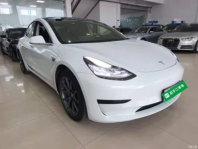 2020 Tesla Model 3 Facelift Standard Range RWD Upgrade, фото 4, лот 10369389