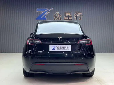 2022 Tesla Model Y Rear-Wheel Drive Version, фото 3, лот 10830254
