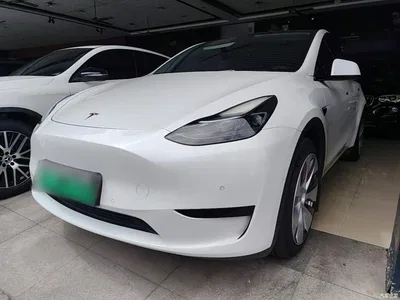 2022 Tesla Model Y Rear-Wheel Drive Version, фото 1, лот 10369984