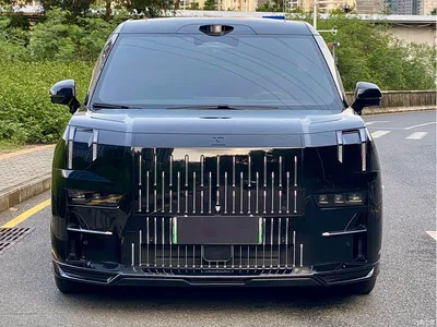 2024 ZEEKR 009 7-Seat Aisle AWD Version 108kWh, фото 2, лот 10573766