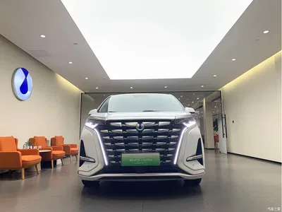 2022 Denza D9 DM-i 970 AWD Flagship, фото 2, лот 10346230