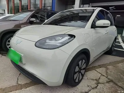 2024 Wuling Motors Wuling Bingo 333km Comfort Edition, фото 1, лот 10371546