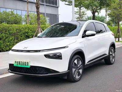 2021 XPeng G3 G3i 520N, фото 1, лот 10454423