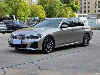 2020 BMW 3 Series 320Li M Sport Package, фото 1, лот 11095189