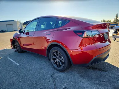 2025 TESLA MODEL Y, фото 2, лот 10856630