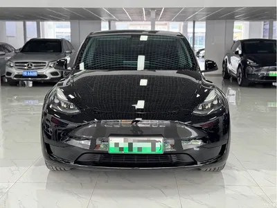 2022 Tesla Model Y Rear-Wheel Drive Version, фото 2, лот 11074448