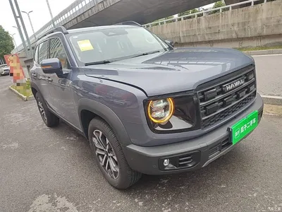 2024 Haval Big Dog 1.5T DCT Border Collie Edition, фото 4, лот 10361246
