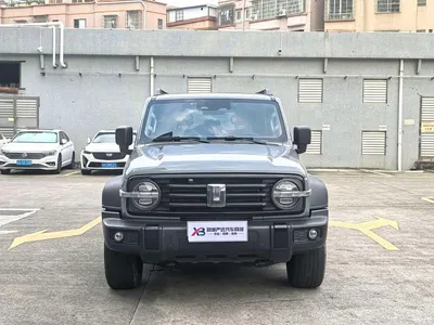 2023 Tank 300 Off-Road Edition 2.0T Conqueror, фото 4, лот 10344220