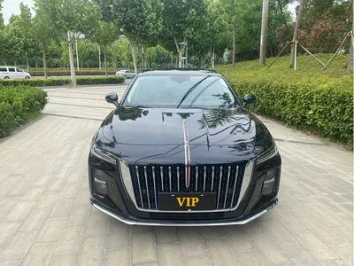 2023 Hongqi H5 1.5T DCT Smart Connect Flag Rhythm, фото 2, лот 10288557