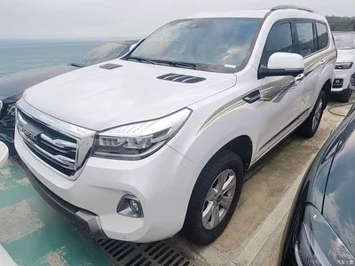2020 Haval H9 2.0T Gasoline 4WD Luxury 7-Seater, фото 1, лот 11224382
