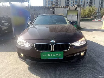 2016 BMW 3 Series 320Li Progressive, фото 3, лот 11580115