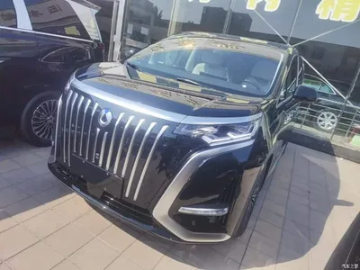 2024 Denza D9 EV 620 Premium, фото 1, лот 10611020