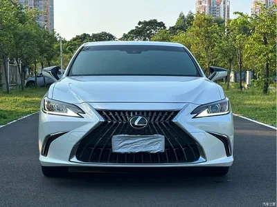 2023 Lexus ES 200 Excellence Edition, фото 2, лот 10396516