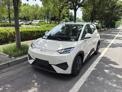 2025 BYD Seagull Smart Drive Edition 305km Vitality Version, фото 1, лот 10262837