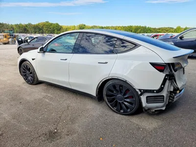 2023 TESLA MODEL Y, фото 2, лот 11590005