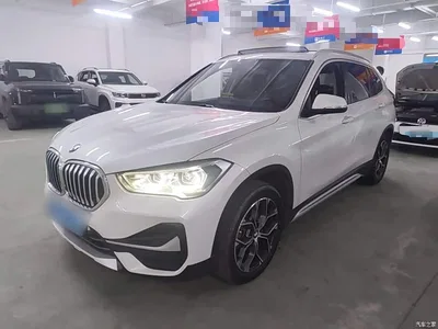 2020 BMW X1 sDrive20Li Premium Edition, фото 2, лот 10467317