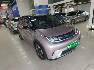 2024 BYD Dolphin Glory Edition 420km Freedom Edition, фото 4, лот 10482312