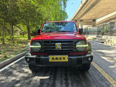 2021 Tank 300 Off-road Version 2.0T Conqueror, фото 2, лот 10356912