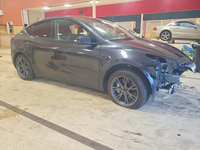 2024 TESLA MODEL Y, фото 4, лот 10854507