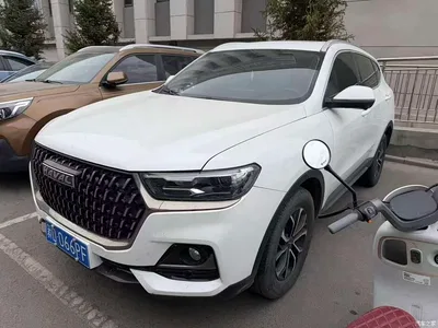 2023 Haval H6 National Trend Edition 1.5T Automatic Urban, фото 3, лот 10296114