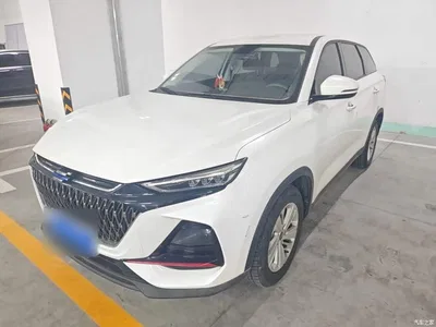 2022 Changan Oshan X7 PLUS 1.5T Blue Whale Edition Auto Luxury, фото 1, лот 10408182