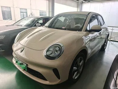 2025 Ora Good Cat Model 430km Luxury, фото 3, лот 10442802