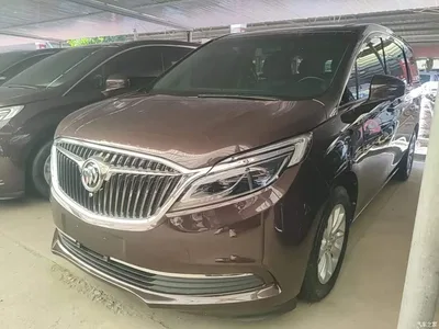 2017 Buick GL8 ES 28T Premium China V, фото 2, лот 10262022