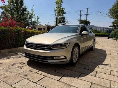 2018 Volkswagen Magotan 330TSI DSG Luxury, фото 1, лот 10410677