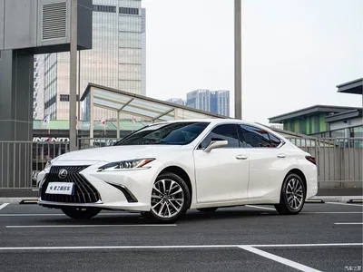 2024 Lexus ES 200 Premium Edition, фото 1, лот 11140679