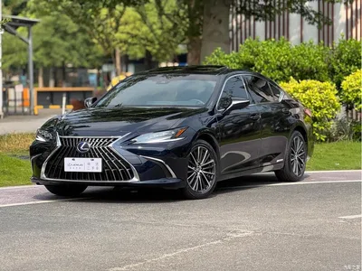 2021 Lexus ES 300h Luxury Edition, фото 1, лот 10808123