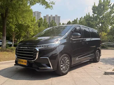 2020 SAIC Maxus Maxus G20 2.0T Gasoline Automatic Luxury, фото 1, лот 11160652