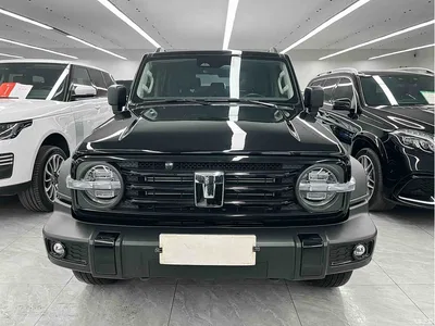 2023 Tank 300 Off-Road Edition 2.0T Conqueror, фото 2, лот 10593094