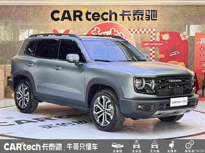 2026 Haval Big Dog Model 1.5T High Configuration, фото 3, лот 11194027