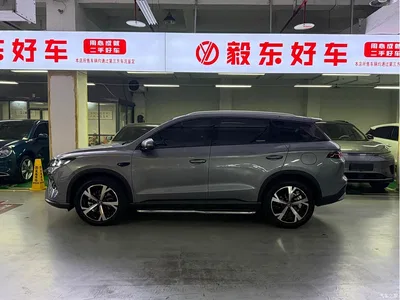 2026 BYD Song Pro New Energy DM-i Long Range Edition, фото 3, лот 10895683