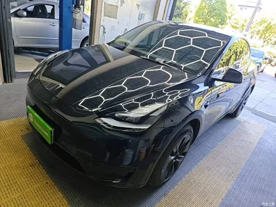 2023 Tesla Model Y Rear-Wheel Drive Edition, фото 2, лот 10375181