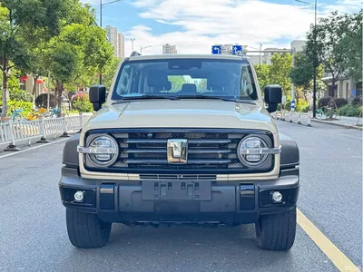2025 Tank 300 New Energy Hi4-T, фото 2, лот 10344216