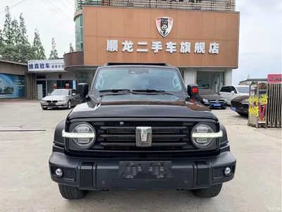 2021 Tank 300 Off-road Version 2.0T Conqueror, фото 2, лот 10345003