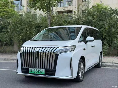 2023 WEY Alpine AWD Flagship, фото 1, лот 10835315