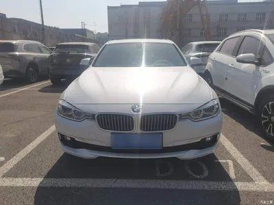 2018 BMW 3 Series 320Li Fashion Style, фото 3, лот 11133121