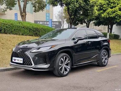 2020 Lexus RX 300 AWD Elegance Edition China V, фото 1, лот 10316284