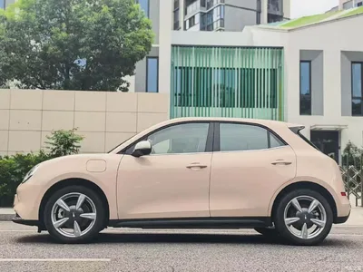 2021 Ora Good Cat 400km Standard Range Muse Edition (LFP), фото 3, лот 10284778