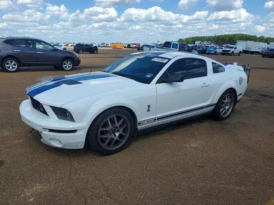 2008 FORD MUSTANG SHELBY GT500, фото 1, лот 10510890
